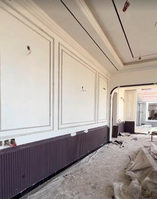 Hassan Tariq Residence image 28